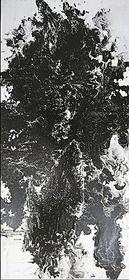 巨碑山水的封面圖