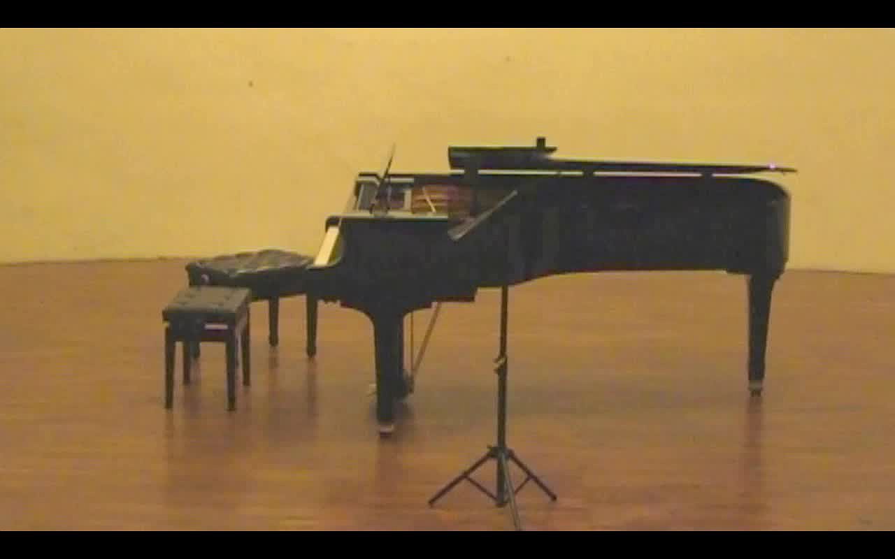 雅納捷克《小提琴奏鳴曲》音樂表情與演奏技巧之探究與分析-4