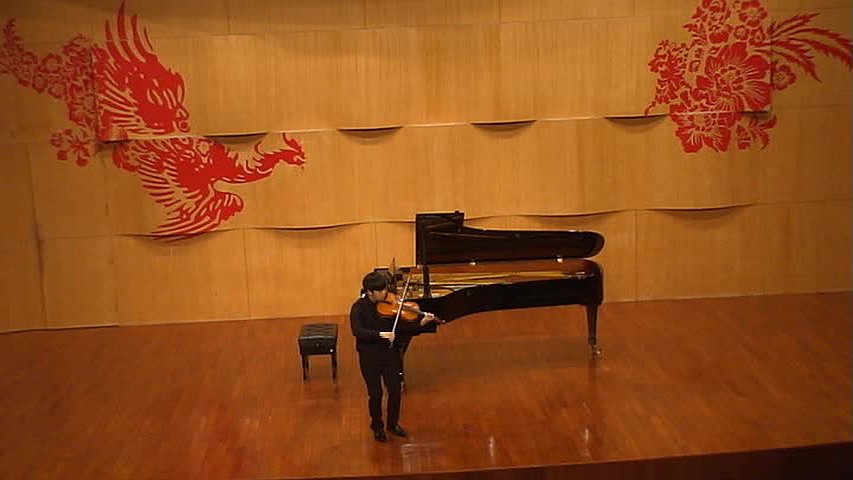Analysis Study and Interpretation of Viola Concerto mov. I by Béla Bartók's Cover