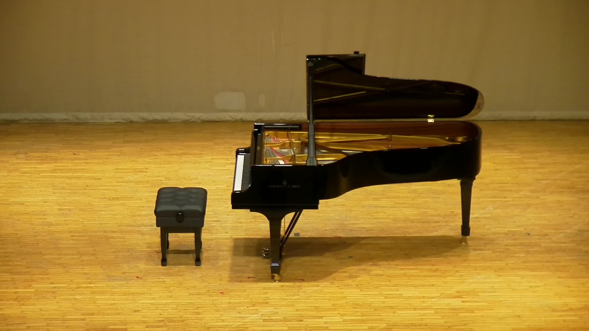 An Analysis and Interpretation of Paraphrase de Concert sur Rigoletto by Franz Liszt's Cover