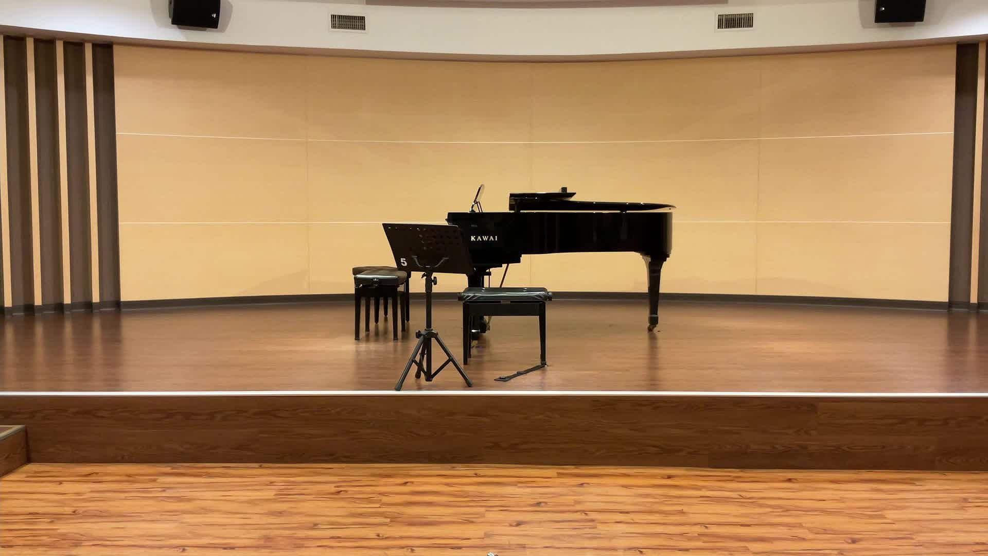 Hsuan-Ling Chen Cello Recital Program Introduction and Analysis's Cover