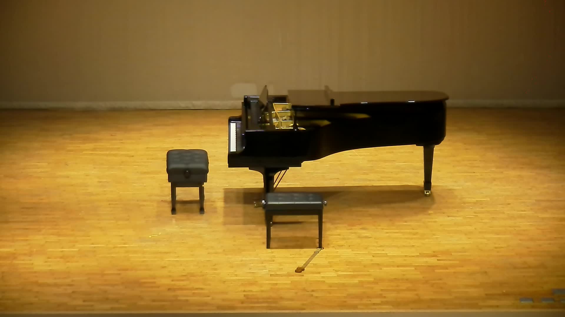 拉羅《D小調大提琴協奏曲》之分析與詮釋-下半場