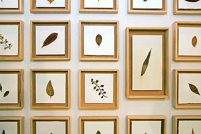 多線創作的首拍：陳昱廷創作研究 陳昱廷，〈P.S. (_____)〉，銅箔、銅線、葉子、水彩紙、木頭，各18x18cm(共 45 個)、各 32x19cm(共 2 個)，2016。2的封面圖