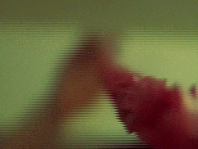 皮相的生存空間–片段與空缺的幻見