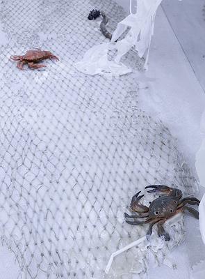 〈流變空間〉，2022，左：樹酯、漁網、繪製後的模型魚、海邊廢棄生鏽鐵絲網、石頭、痱子粉、Antari ICE-101。右：繪製後的模型螃蟹、海參、漂流木、海邊吸管。依場域而定，作品局部-2