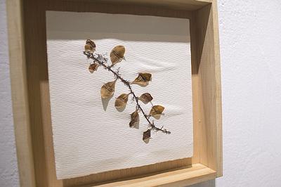 多線創作的首拍：陳昱廷創作研究的封面圖