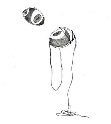 Perception and Inception of Body - The Creation Research of Liu, Hsin -Yi's Cover