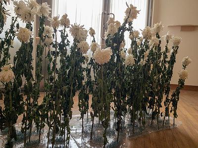 多線創作的首拍：陳昱廷創作研究 44 陳昱廷，〈無根〉，白菊花、鋼釘、環氧樹脂，依場域而定，2020。2