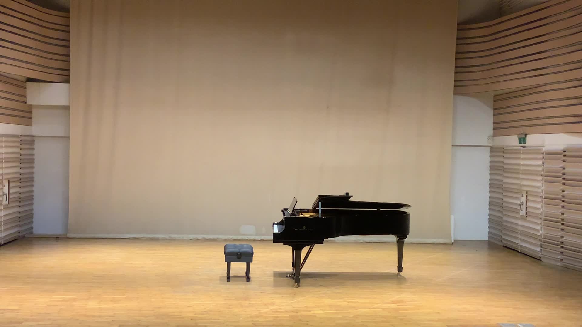 舒伯特《給鋼琴與小提琴的D大調小奏鳴曲，作品 384》之分析與詮釋