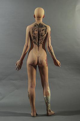 人體6