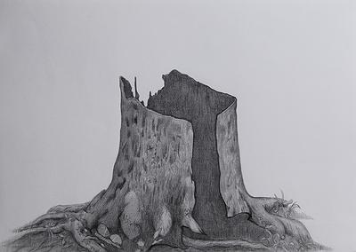 樹的意象與蛻變─胡淨惠創作論述-圖19