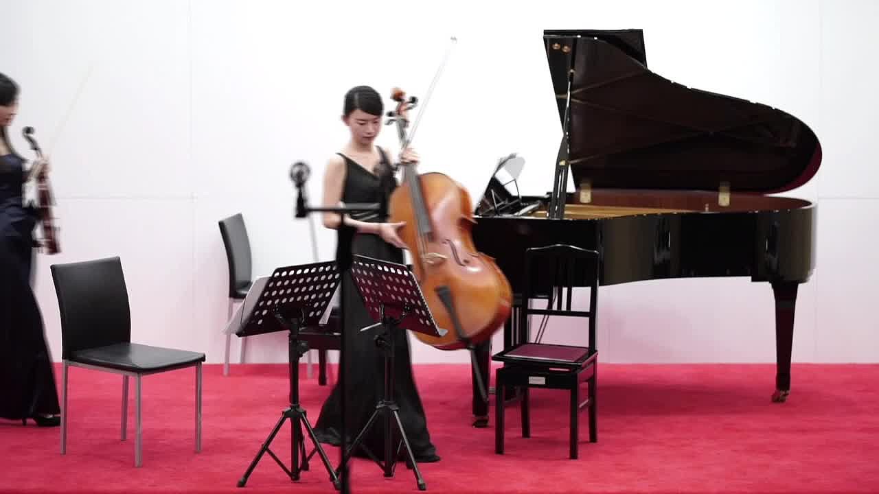 杜岳臻大提琴演奏會：含輔助資料演奏會錄音、樂曲解說及室內樂演奏會錄音-1的封面圖