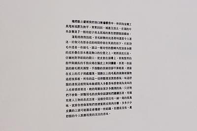 記憶文本/感知情境/玄關 - 6