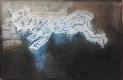 王祥暖冰 II 68X45cm 2014