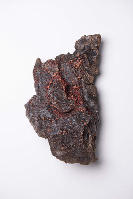 2025_11_Scab_brooch_bark4-4