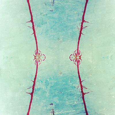 圖載場—白虛與夜實的生物世界-3