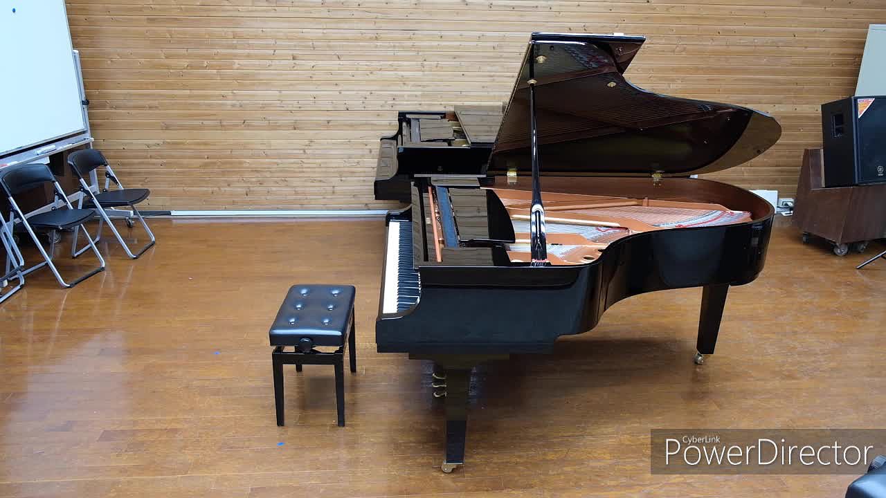 貝多芬鋼琴奏鳴曲作品十三《悲愴》分析與詮釋的封面圖