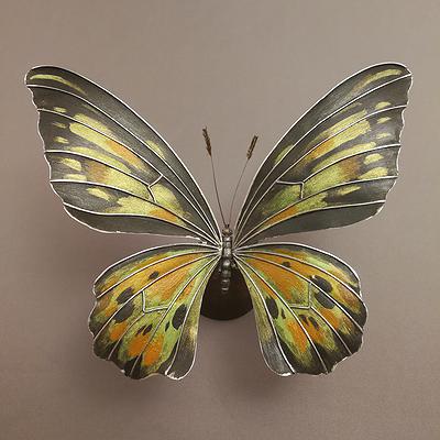 重生計畫 關於蝴蝶的金工創作-「彩飛」系列之二的封面圖