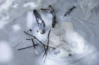 〈流變空間〉，2022，樹酯、漂流木、樹枝、繪製後模型蝦、海邊的保麗龍、寶特瓶、石頭、痱子粉、Antari ICE-101，依場域而定，作品局部