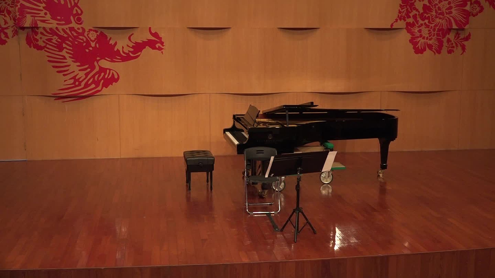 Interpretation and Style Comparison between Two Editions of Franz Schubert’s First Movement of  Arpeggione Sonata in A Minor's Cover