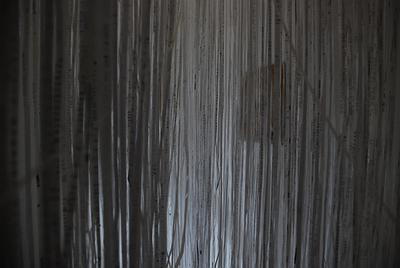 生命意象-線性局部2