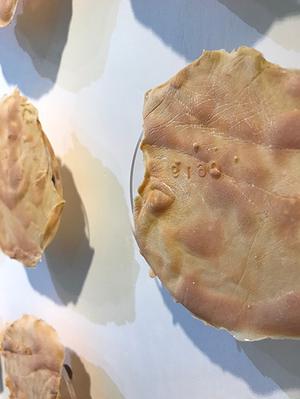 身體邊界的內外乘載─ 乳膠應用於金工創作論述-圖41