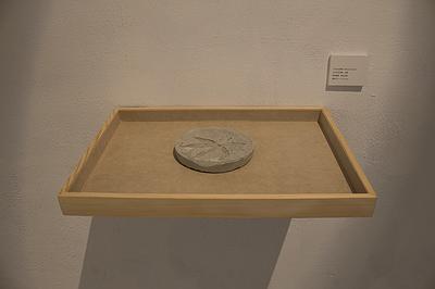 多線創作的首拍：陳昱廷創作研究 18 成為化石〉，水泥，圓形四個(直徑分別為11公分、10.9公分、11.3公分、10.9公分)、長方形兩個(12.2x23.7公分、21.5x22公分)，2021。2