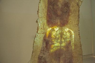 異類之於同體_1的封面圖