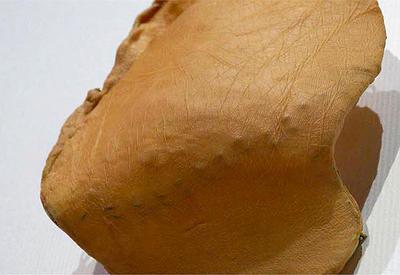 身體邊界的內外乘載─ 乳膠應用於金工創作論述-圖21