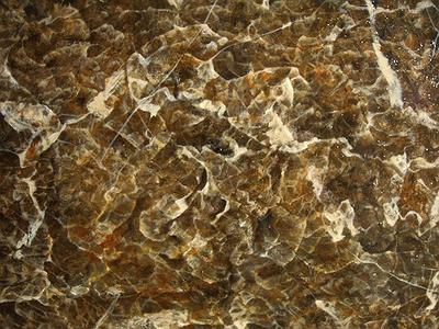 浮動景緻－變形風景之空間部署 圈內─細節