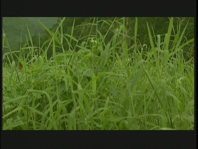 城市遊俠-1的封面圖