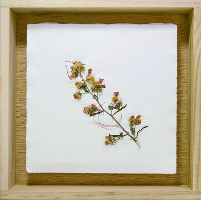 多線創作的首拍：陳昱廷創作研究 陳昱廷，〈P.S. (_____)〉，銅箔、銅線、葉子、水彩紙、木頭，各18x18cm(共 45 個)、各 32x19cm(共 2 個)，2016。6的封面圖