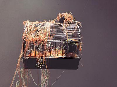 線，在進行式 - 曾微雅創作研究 滯遊 (1)