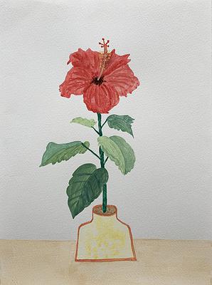 Plants Healing—A Discourse on Ying-Syuan Huang's Artworks's Cover