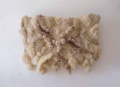 凡妮莎巴拉吉奧，漂白珊瑚系列的封面圖