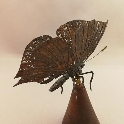 重生計畫 關於蝴蝶的金工創作-「秋瑟」系列之三的封面圖