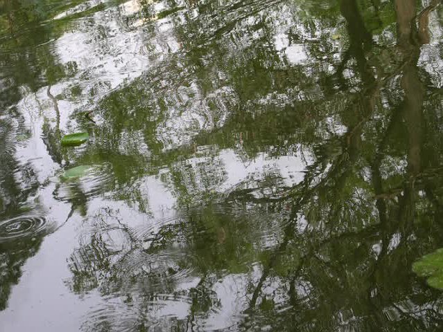 藝術家的心靈聲音-4