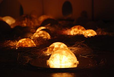 生命意象-半圓體局部