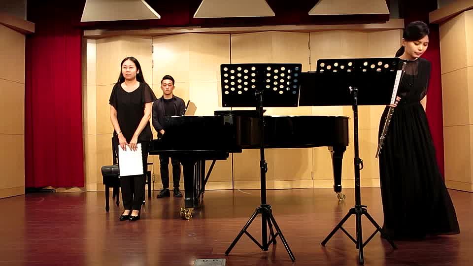 若利維《長笛與弦樂團之協奏曲》樂曲分析與演奏詮釋2
