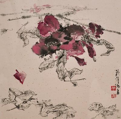 綻放的封面圖
