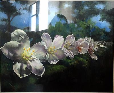 五月雪的封面圖