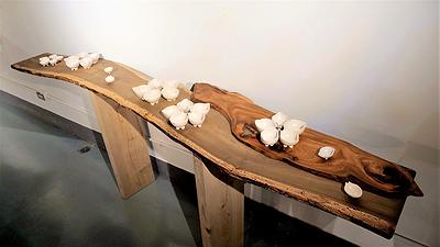 花系列-作品2-四月桐花-展呈形式