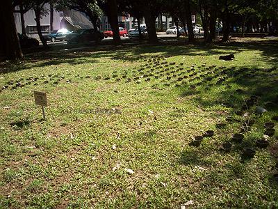 汪紋曲作品-1的封面圖