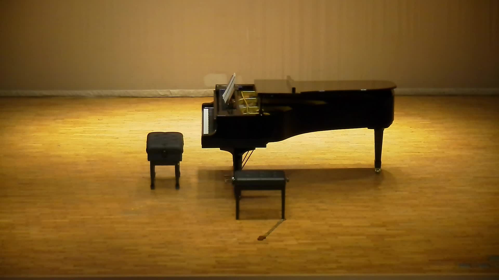 拉羅《D小調大提琴協奏曲》之分析與詮釋-上半場的封面圖