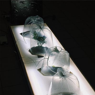 Imagine the eternal wreckage-Ceation research of Huang,Yen-Hsun's Cover