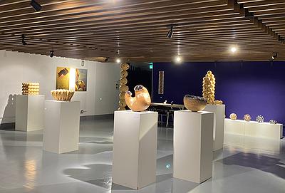圖14 展場展示紀錄之8的封面圖