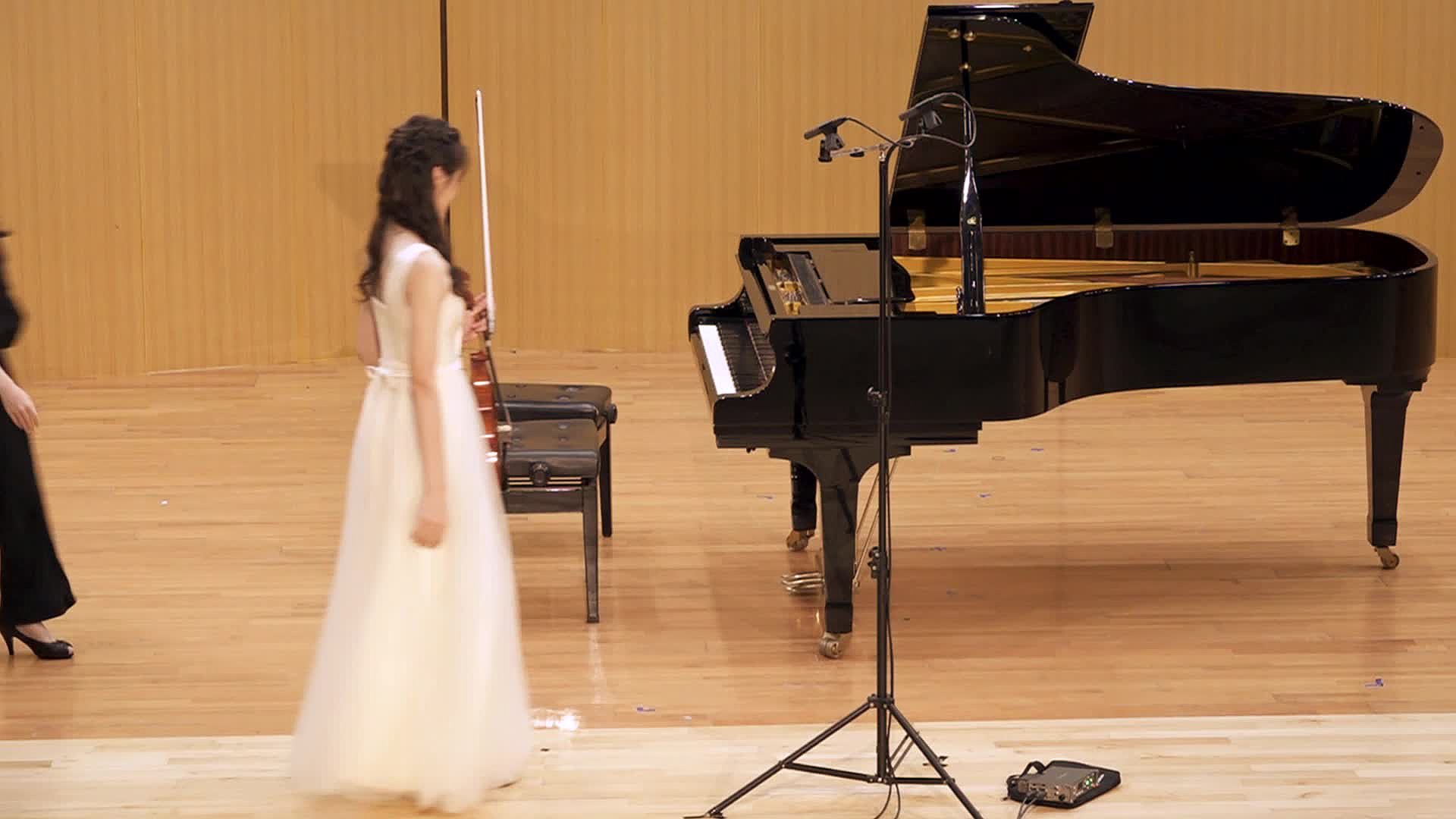 01 F Schubert Violin Sonatina in D Major D384的封面圖