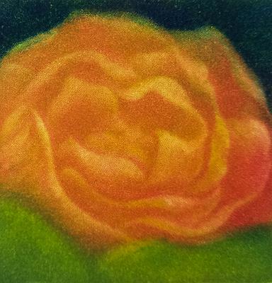 墨蘊花喻—26〈霓—Gardenia〉的封面圖