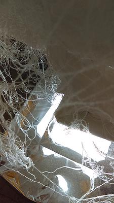 Field of Textile - Study of Chen, Shu-Chuan’s Creation's Cover