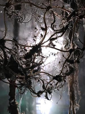 〈迷網之境〉，2018，漁網、繩子、樹酯、Antari ICE-101、ARRI燈，作品局部，身軀變異的語彙。的封面圖